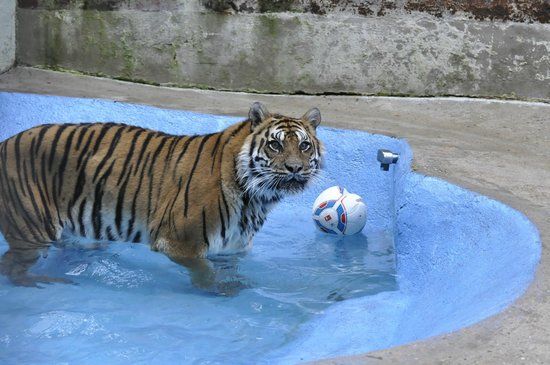 Raubtier- und Exotenasyl Ansbach