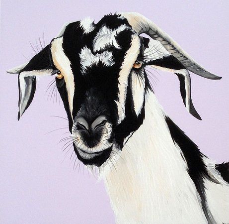 Cabra Cabra Galeria De Arte