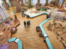 Zoologisches Museum König