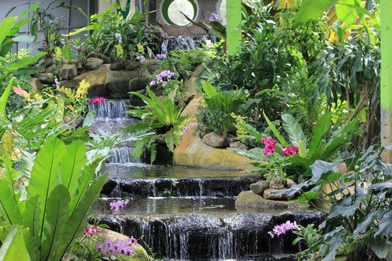 Phuket Butterfly Garden & Insect World