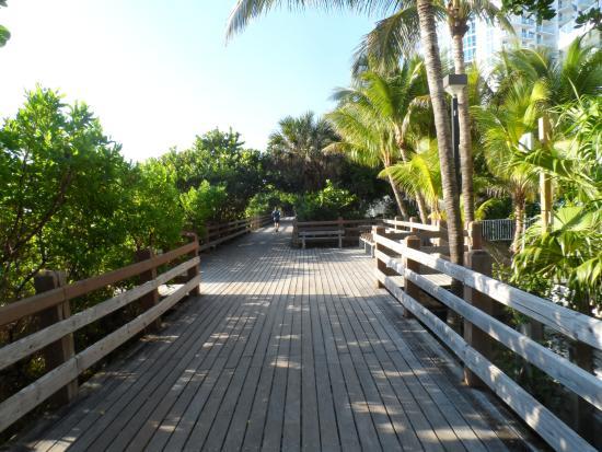 Promenade sur la plage de Miami