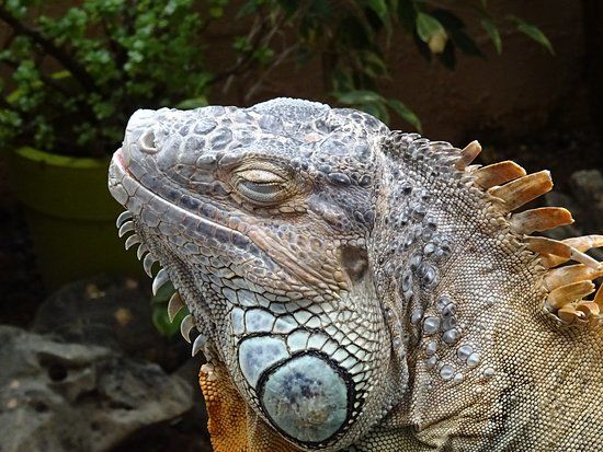 Aquaworld di Hersonissos