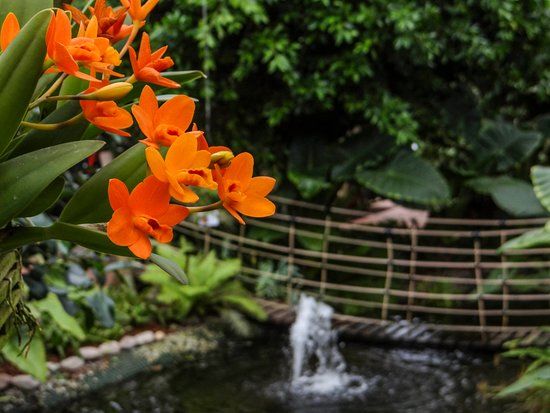 Raffeiner Theme Park