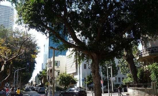 Rothschild-Boulevard