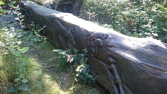 Hocombe Mead Nature Reserve