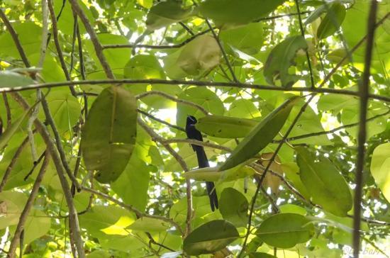 La Digue Veuve Reserve